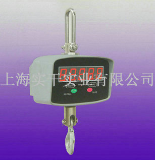 直視電子吊磅