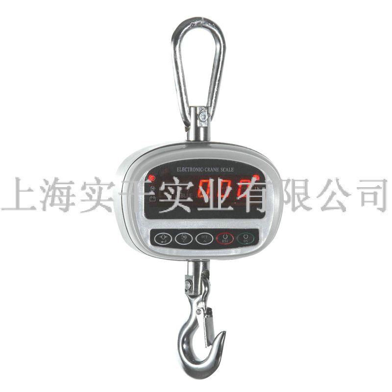 直視電子吊磅